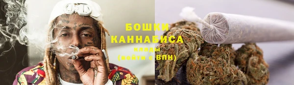 ПСИЛОЦИБИНОВЫЕ ГРИБЫ Покачи