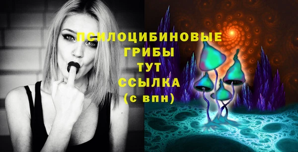ПСИЛОЦИБИНОВЫЕ ГРИБЫ Покачи