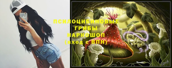 ПСИЛОЦИБИНОВЫЕ ГРИБЫ Покачи