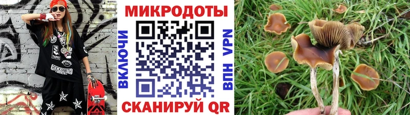 закладки Спасск-Рязанский Псилоцибиновые грибы прущие грибы