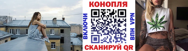 Бошки марихуана гибрид  где найти наркотики  Спасск-Рязанский 